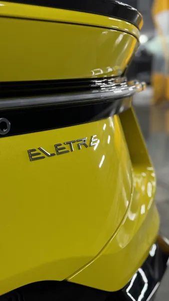 Оклейка зон риска Lotus Eletre, фото 4
